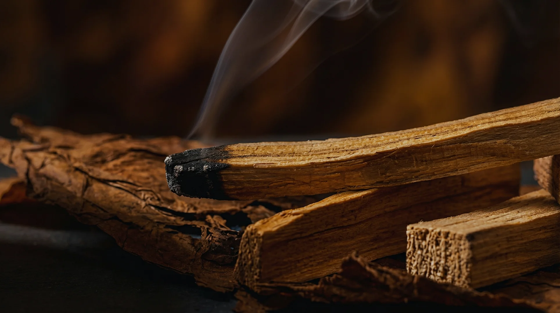 Marchanta 01 scent inspiration - Smokey vetiver and tobacco leaves under palm trees
